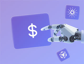 Crypto portfolio growth tracker showing profits and balance on Drift Waardex